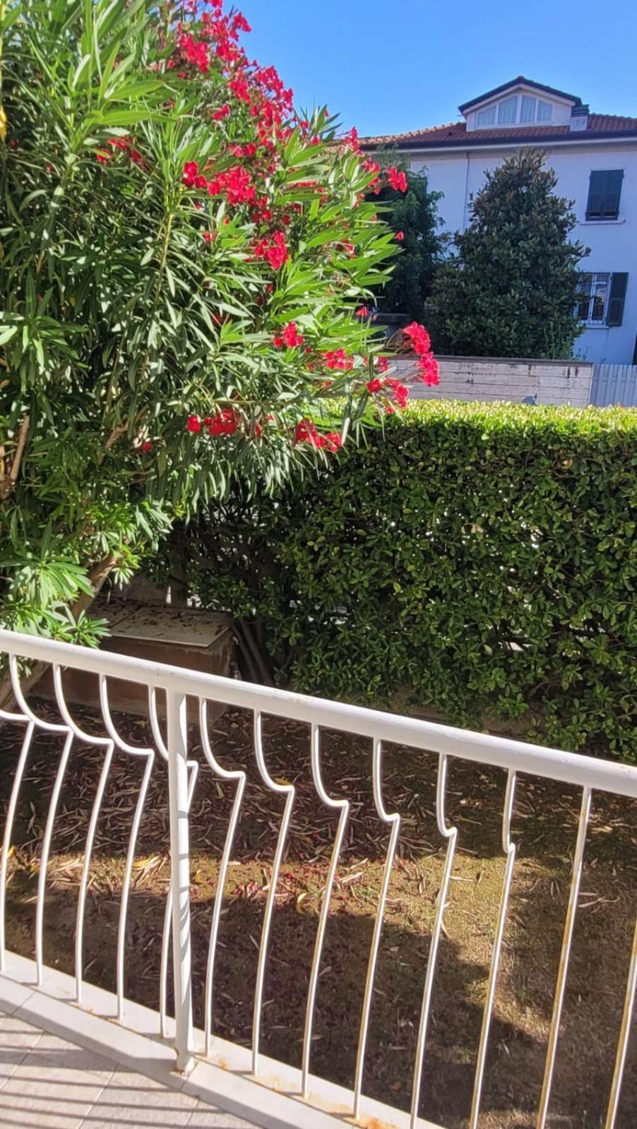 Appartamento Stella Marina A Due Passi Dal Mare E Dal Centro Marina Di Carrara Bagian luar foto
